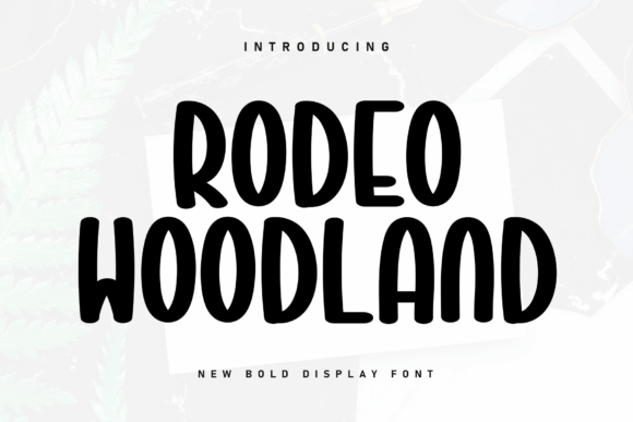 Rodeo Woodland Font Review