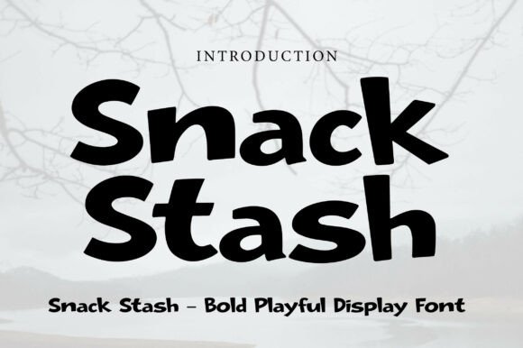 Snack Stash Font for Bold Campaigns